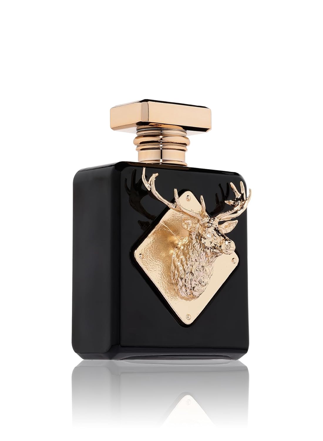 Fragrance outlet world perfumes