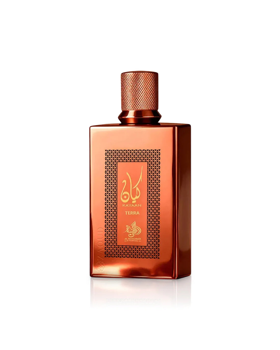Al Wataniah Kayaan Terre Eau De Parfum For 100ml Men