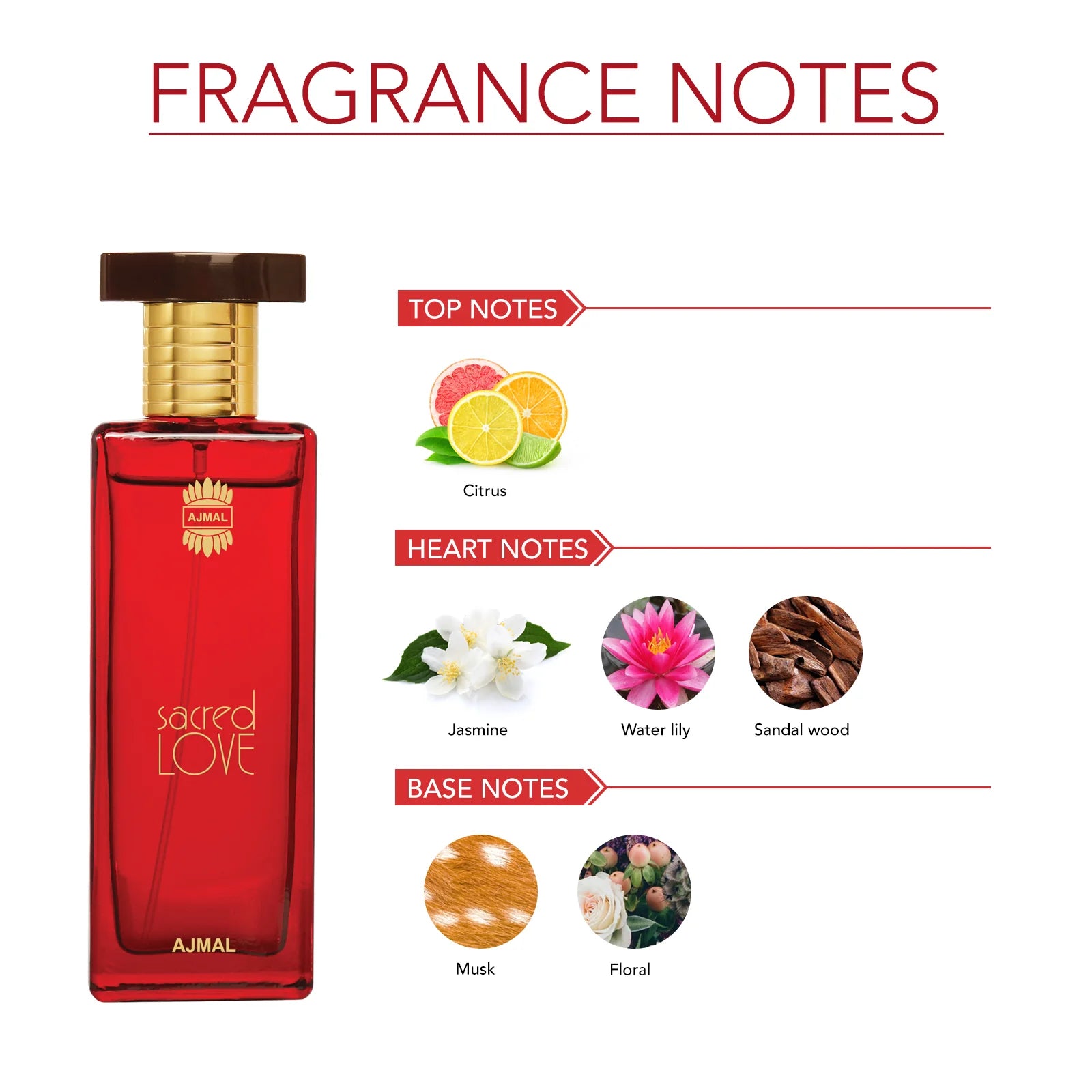 Ajmal Sacred Love Eau De Parfum 50ml For Women – Perfume Palace
