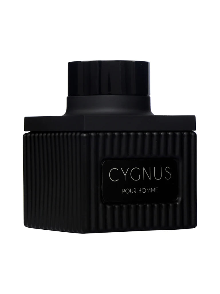 Flavia Cygnus Pour Homme Eau De Parfum 100ml For Men