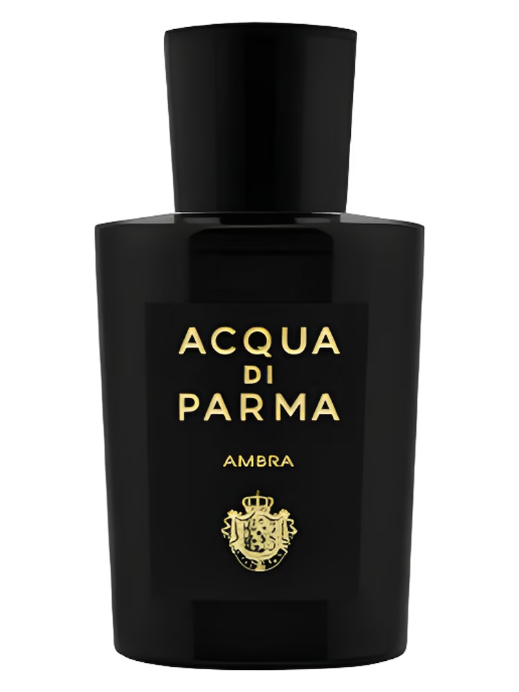 Acqua di Parma Ambra Eau de Parfum 100ML for Men