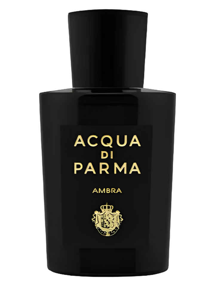 Acqua di Parma Ambra Eau de Parfum 100ML for Men