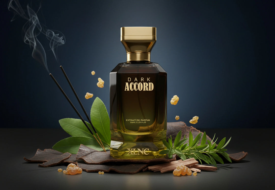 XLNC Dark Accord Extrait De Parfum 100ml For Men & Women