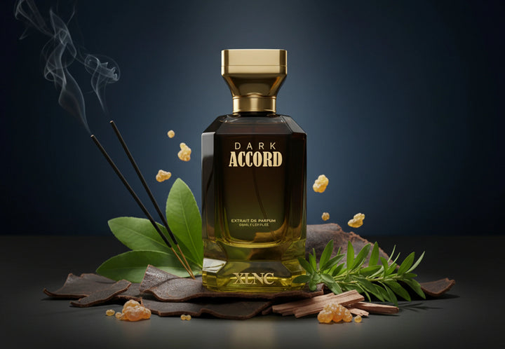 XLNC Dark Accord Extrait De Parfum 100ml For Men & Women