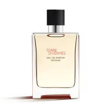 Hermes Terre D Hermes Eau De Parfum Intense 100ml For Men & Women