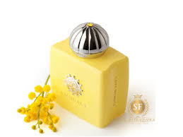 Amouage Love Mimosa Eau De Parfum 100ml For Women