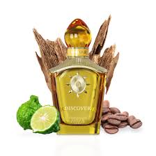 Anfar Discover Extrait De Parfum 100ml For Men & Women