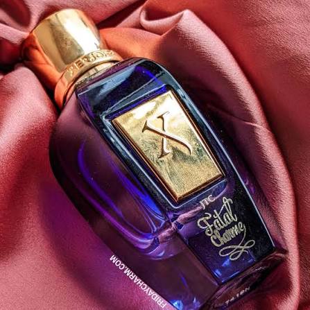 Xerjoff Fatal Charme Eau De Parfum 50ml For Men & Women