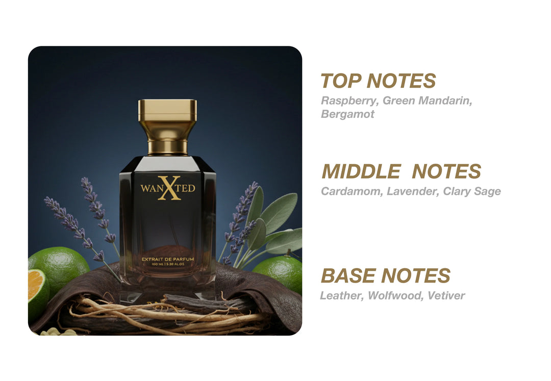 XLNC Wanted Extrait De Parfum 100ml For Men