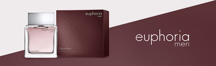 Calvin Klein Euphoria Eau De Toilette 100ml For Men